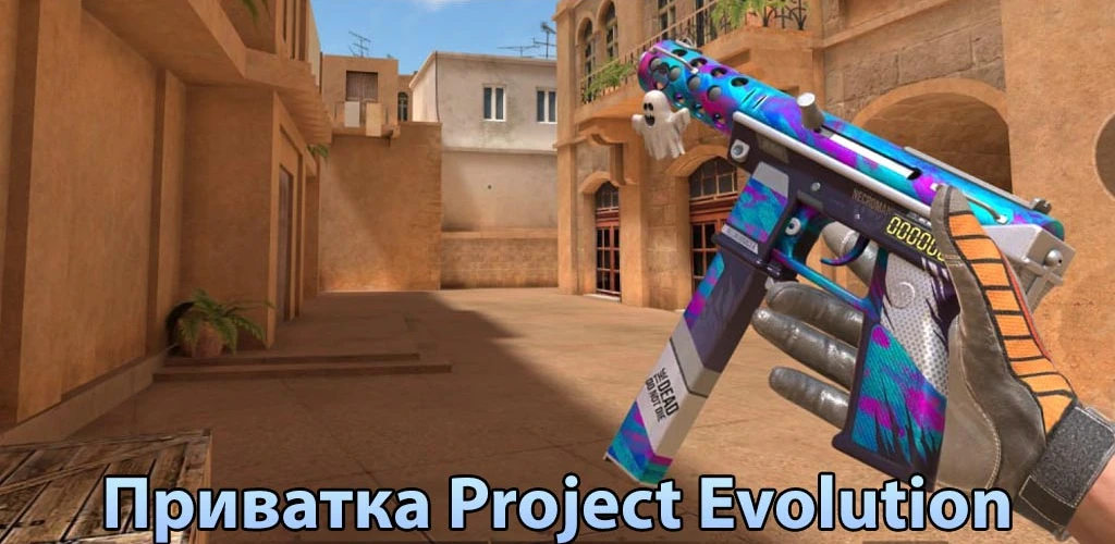 Project Evolution
